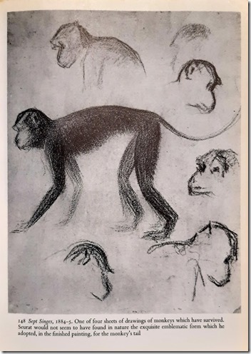 Seurat monkeys